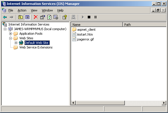 Main IIS Window